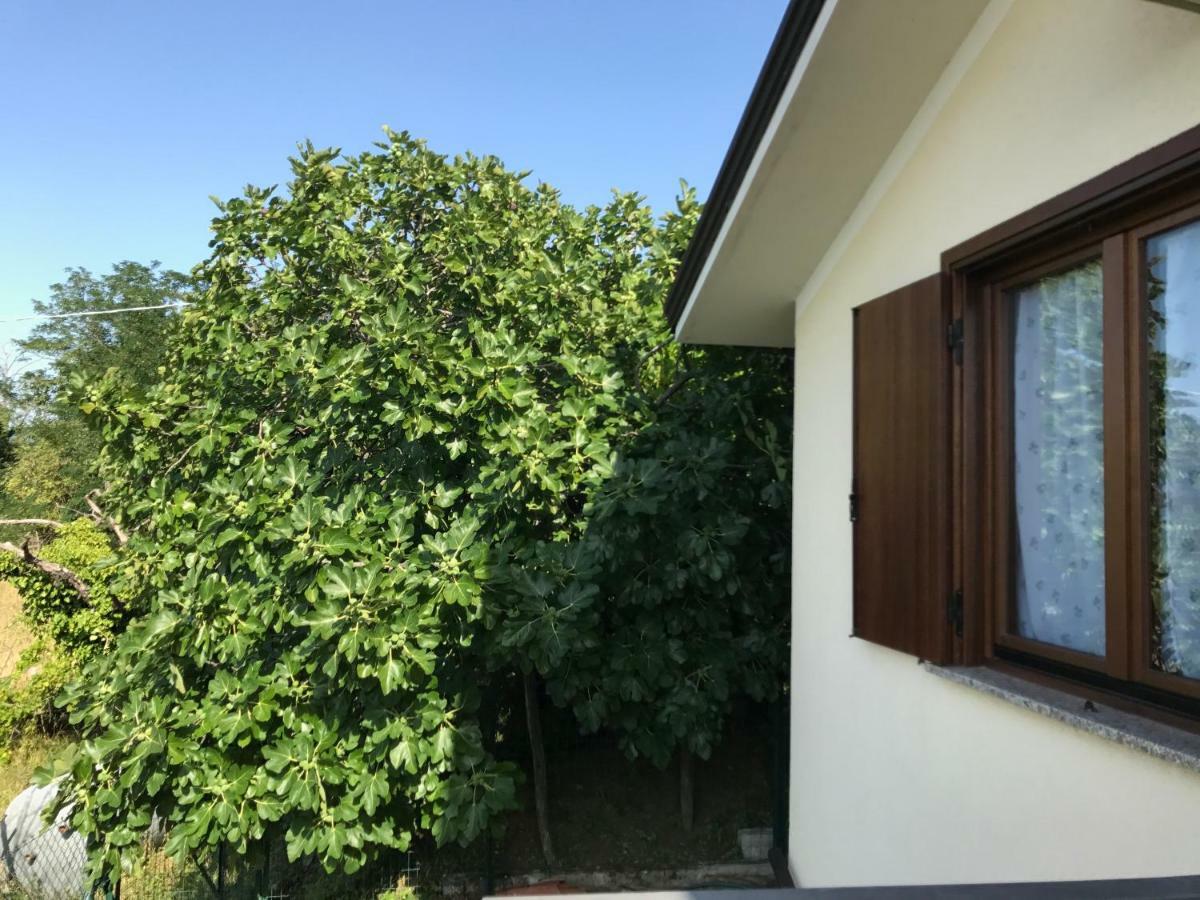 La Casa Di Nonna Bruna Múggia Kültér fotó