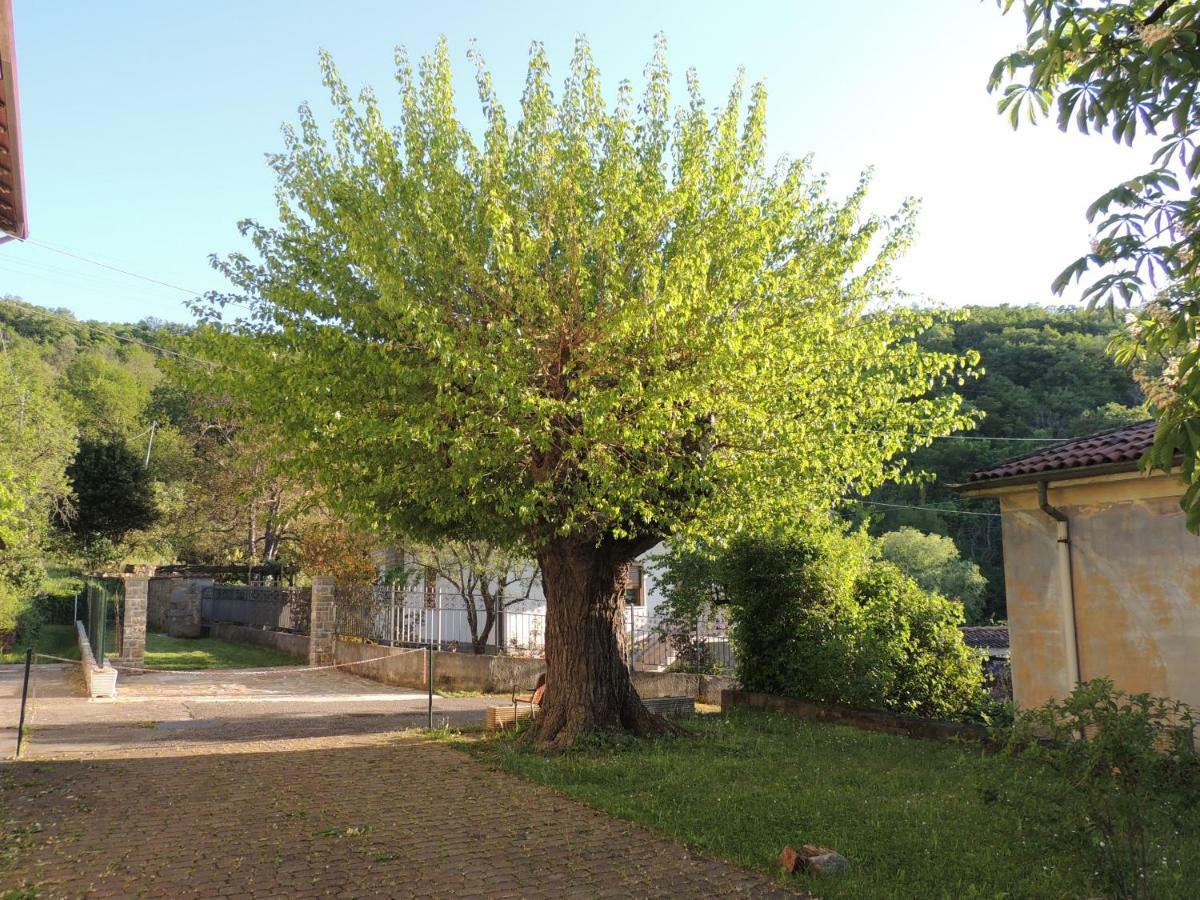 La Casa Di Nonna Bruna Múggia Kültér fotó