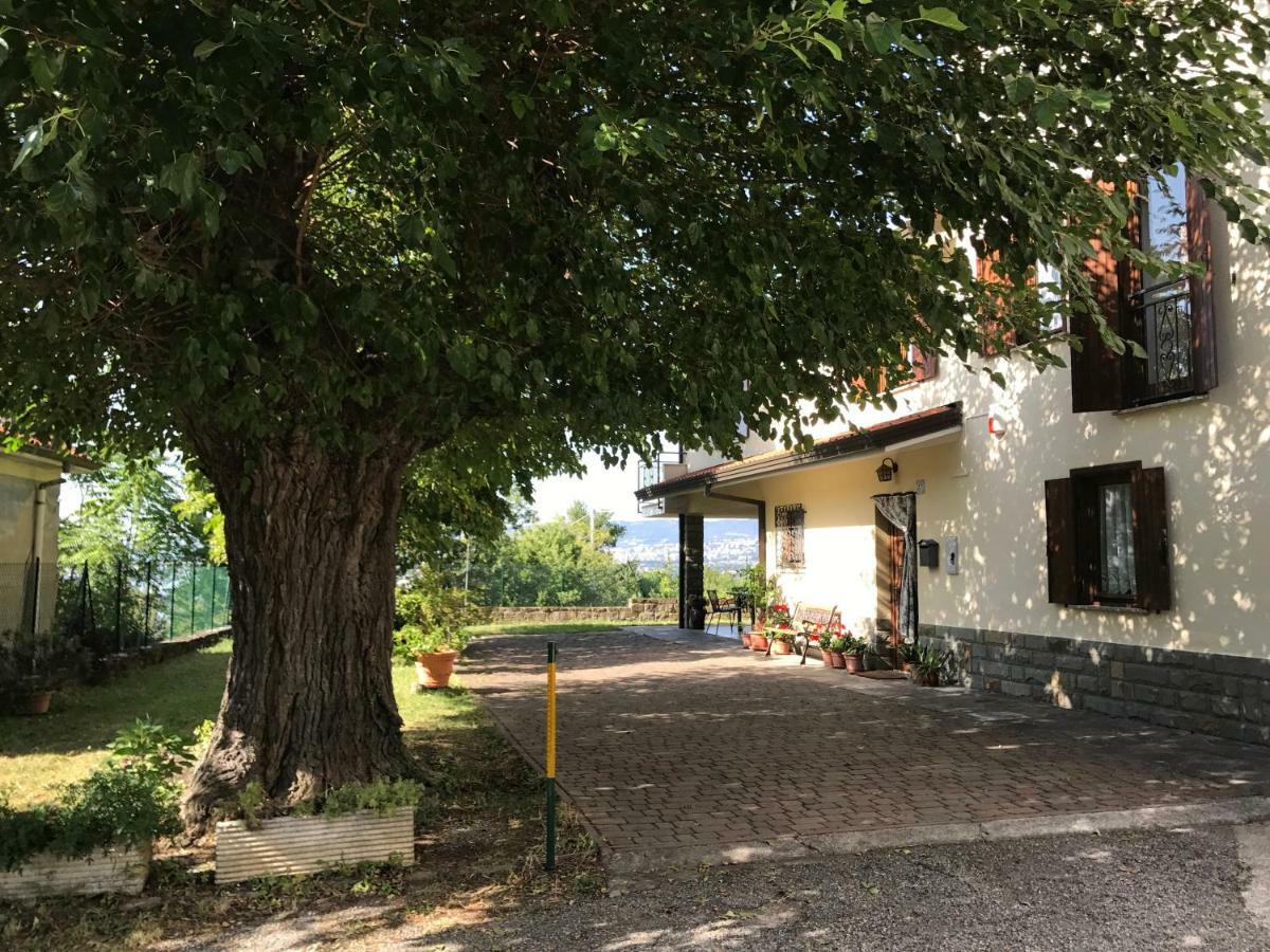 La Casa Di Nonna Bruna Múggia Kültér fotó